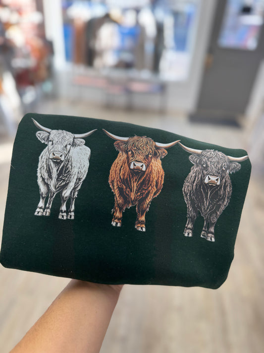 3 Highland cow